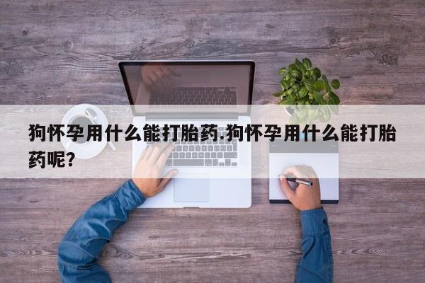 流产药专卖微信狗怀孕用什么能打胎药.狗怀孕用什么能打胎药呢？