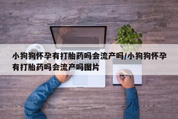 流产药专卖微信小狗狗怀孕有打胎药吗会流产吗/小狗狗怀孕有打胎药吗会流产吗图片
