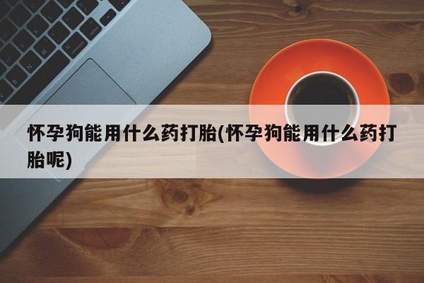 流产药专卖微信怀孕狗能用什么药打胎(怀孕狗能用什么药打胎呢)
